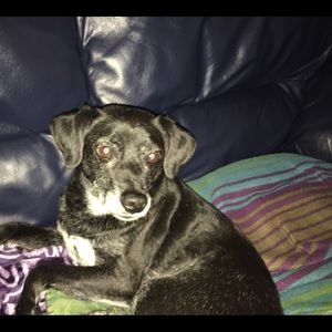 Meet your Posher, Cecilia